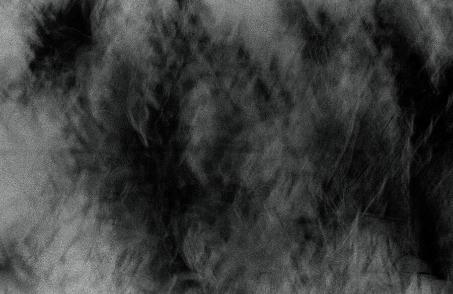 0105.jpg