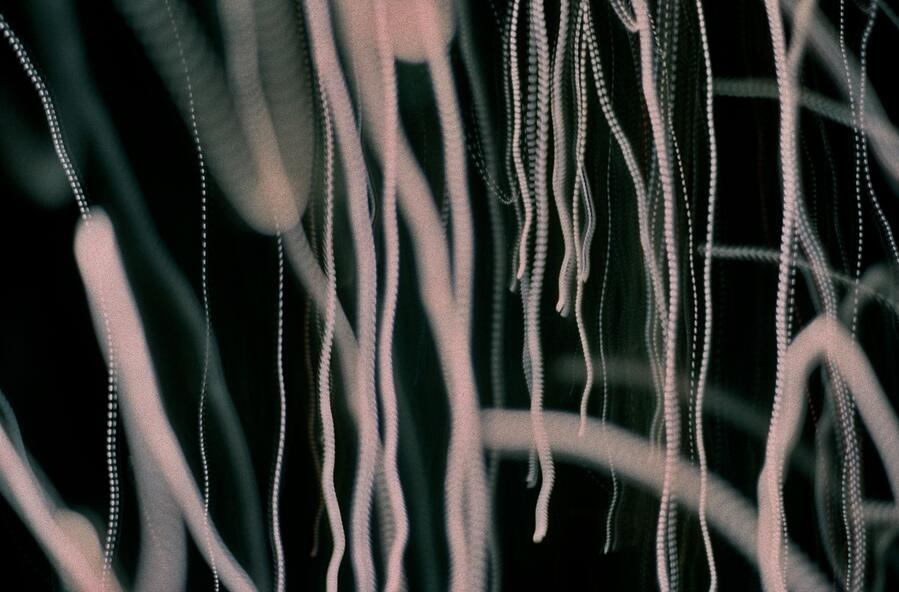 15a_0771.jpg