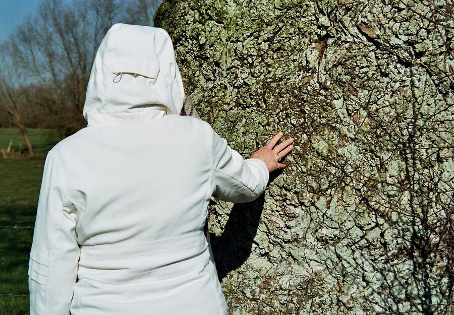 31a_0570.jpg