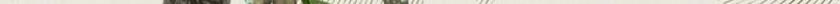 actlist_22192965105_a6cc8342bc_o.jpg