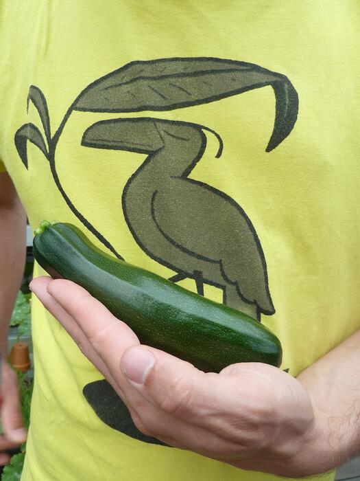 courgette.jpg