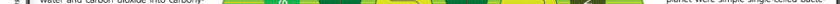 cribsheet10.gif