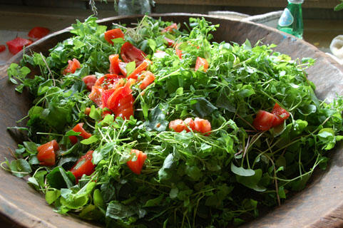 salad.jpg