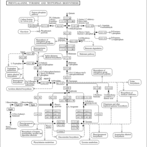map00400.gif