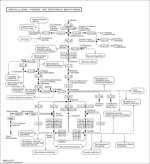 map00400.gif