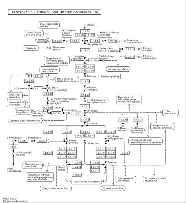 map00400.png