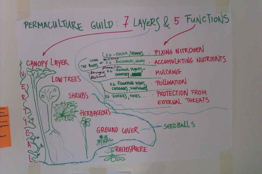 permaculture-functions.jpg