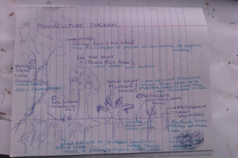 permaculture.jpg